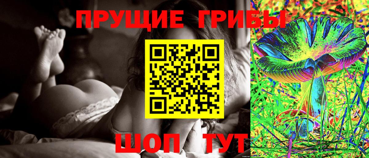 Галлюциногенные грибы мицелий  Вход с VPN  Елец  Галлюциногенные грибы Cubensis 