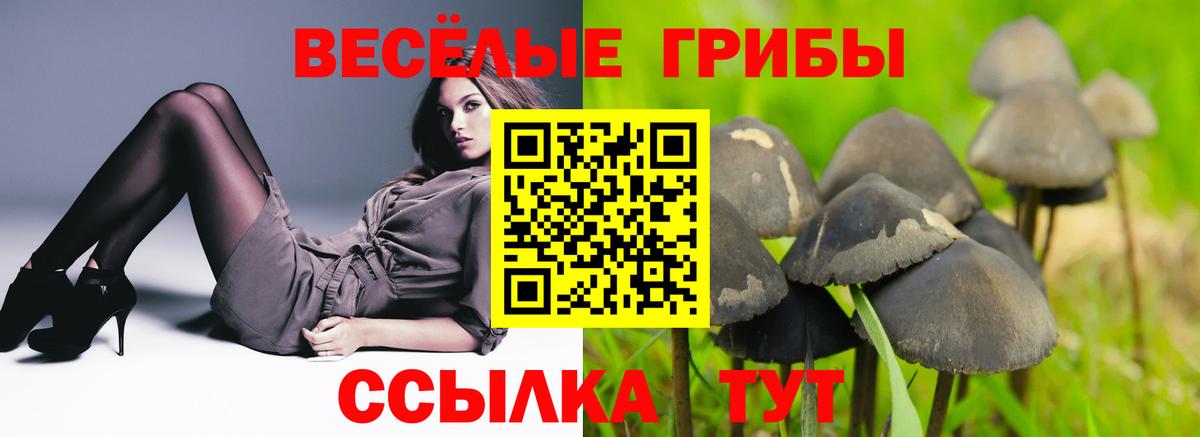 Галлюциногенные грибы ЛСД Елец
